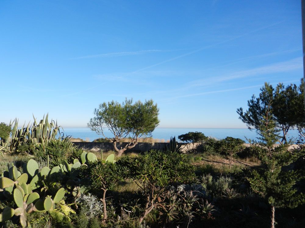 Gärtchen vor dem Meer